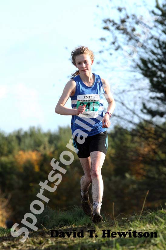 Green 241, 2012 Start Fitness North East Harrier League, Cramington.